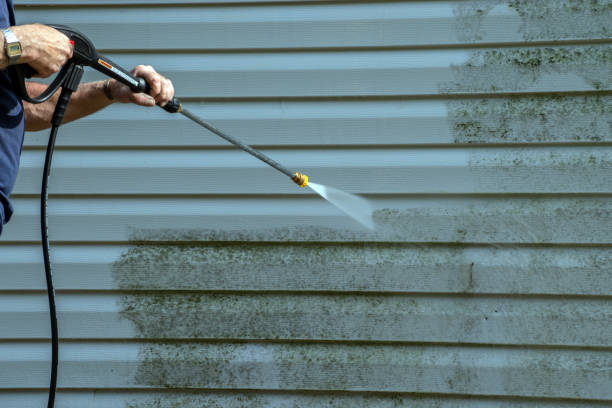 Best Warehouse Cleaning  in Wilson, WY