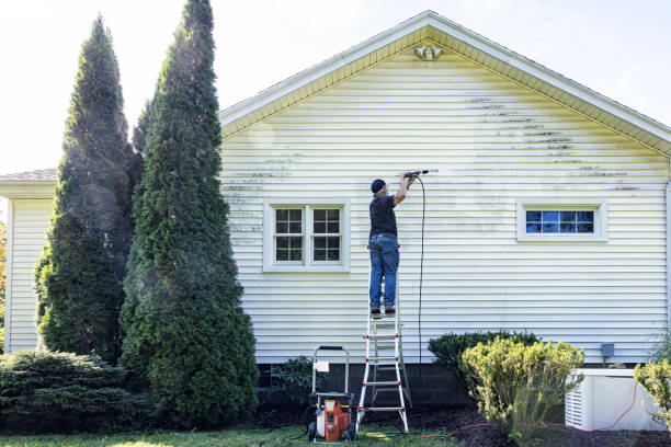 Best Dumpster Area Cleaning  in Wilson, WY